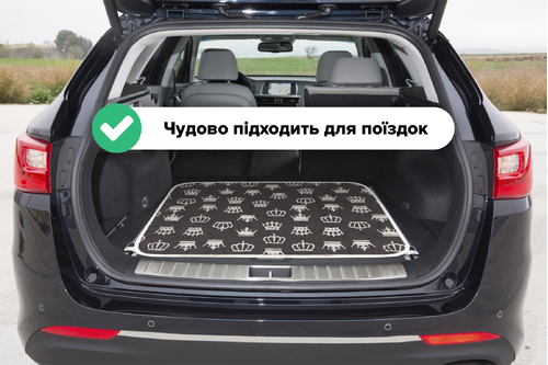 Багаторазова пелюшка для собак AquaStop арт. 57, розмір 170х170 см